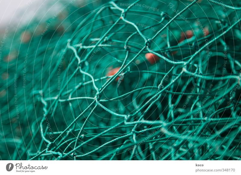 Ins Netz gegangen? Fischernetz Linie Knoten Netzwerk einfach grün orange Farbfoto Außenaufnahme Nahaufnahme Detailaufnahme Makroaufnahme Muster