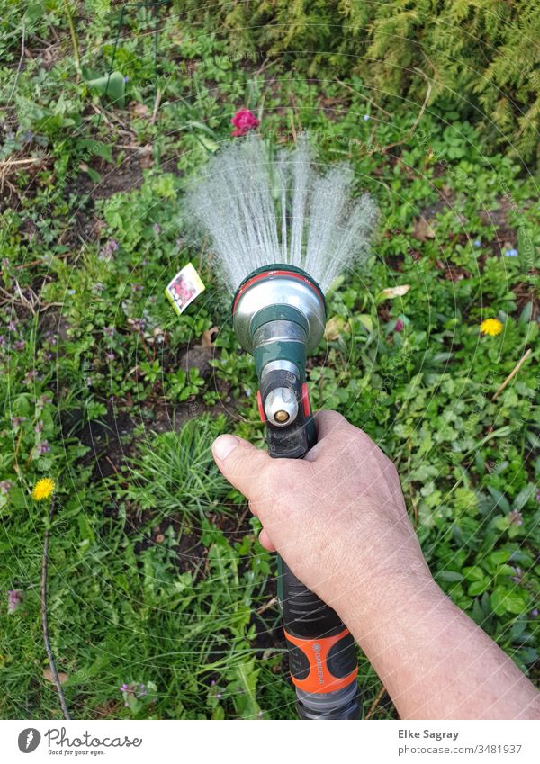 Blumenwiesen - Aussaat  wird gegossen gießen Wasser Wassertropfen Farbfoto Außenaufnahme
