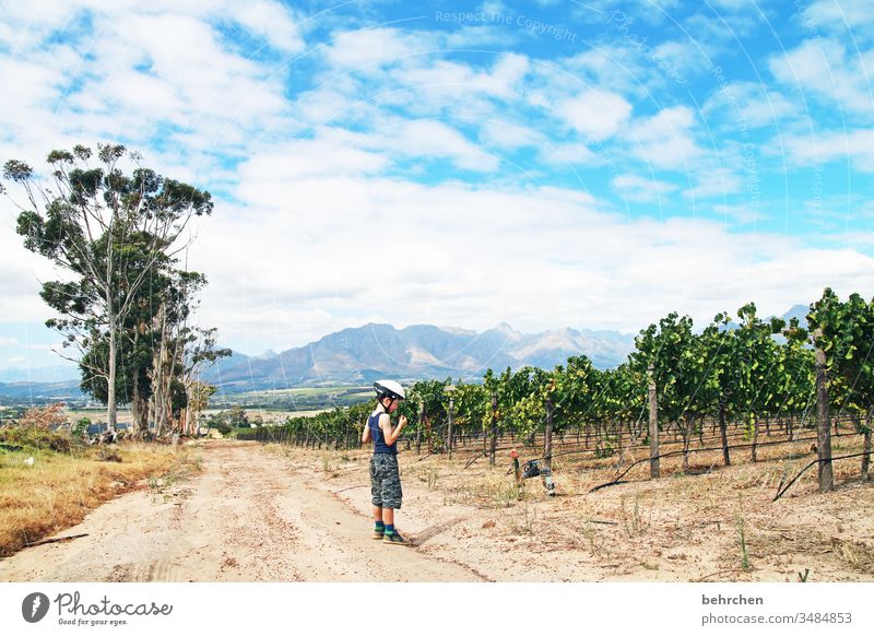 bikes 'n wines Sonnenlicht Kontrast Licht Tag Außenaufnahme Farbfoto Wege & Pfade schön fantastisch außergewöhnlich genießen Erholung Stellenbosch Südafrika