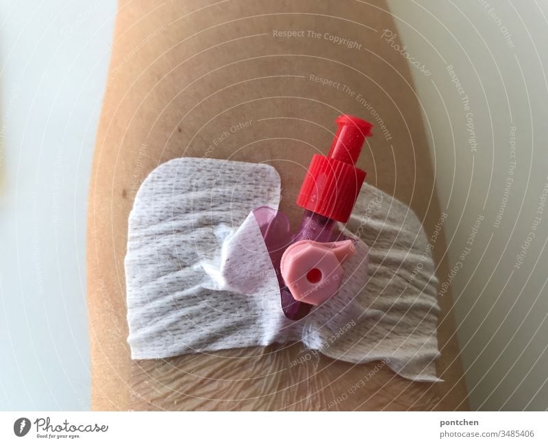 Pflaster und infusionszugang auf Unterarm Arm unterarm krankenhaus nadel blut abnehmen rot pink behandlung corona gesund medizin Gesundheit Krankheit Virus
