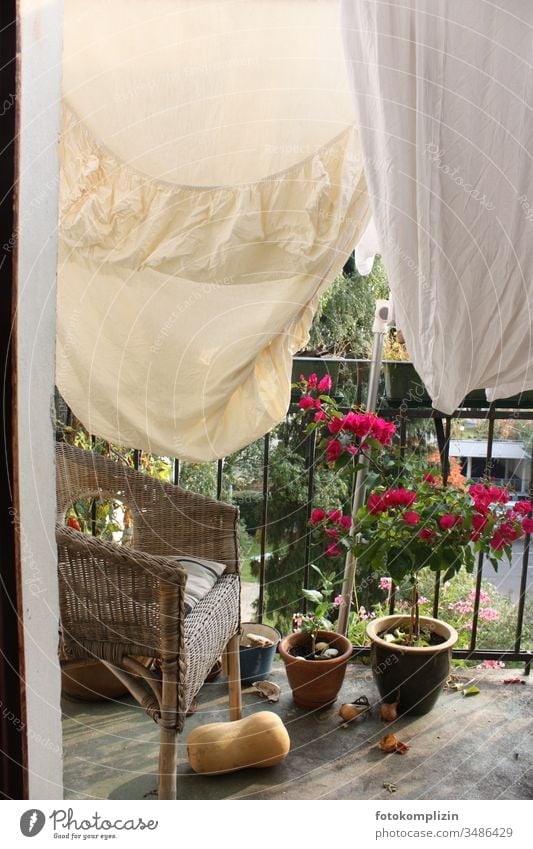 Bettwäsche auf Balkon Wäscheleine Wäsche waschen trocknen aufhängen Haushalt Häusliches Leben Haushaltsführung Waschtag Balkonblumen Balkonleben Balkonien