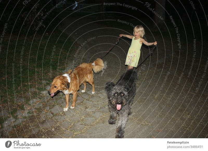 kleines Mädchen führt zwei Hunde an Leinen Tiertrainerin Haustier hundetraining Hundetrainerin Hundetraining niedlich Tierliebe domptieren trainieren
