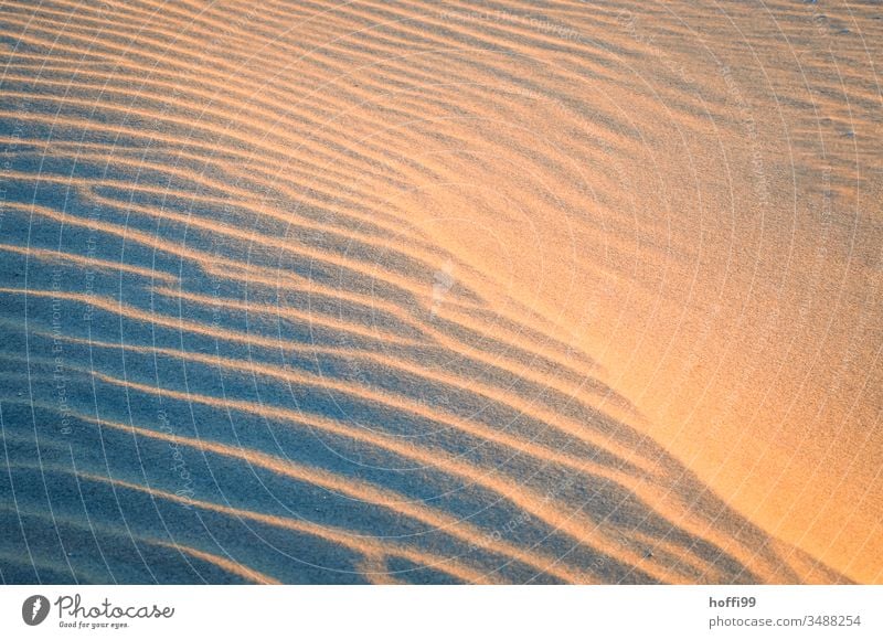 Düne mit Sandspuren im Sonnenuntergang Wüste Stranddüne Wärme Dürre heiß Klimawandel Erderwärmung versanden Umwelt Natur Landschaft Afrika