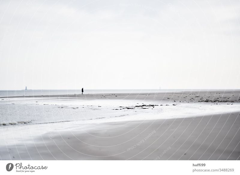 Mensch allein am Strand Nordseeküste Einsamkeit alleine Küste Meer Außenaufnahme Insel Erholung Wattenmeer Sandstrand seichtes Wasser Winter Wolkenloser Himmel