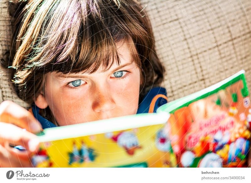 druckerzeugnis | bunte bilder konzentriert Kind vertieft Kindheit Junge Farbfoto lesen Buch lernen Bildung Kindererziehung Literatur Konzentration nachdenklich