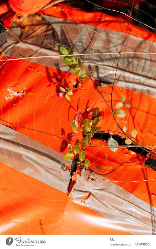 müll und pflanze Müll Plastik Klebeband Pflanze orange Kunststoff Farbfoto Tag Müllentsorgung abstrakt Strukturen & Formen Nahaufnahme Umweltverschmutzung