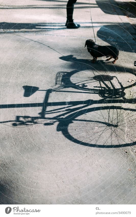 fahrrad, dackel, beine Fahrrad Hund Dackel Beine Wege & Pfade Schatten Schattenspiel Person Straße Tier Haustier Tierliebe Außenaufnahme niedlich