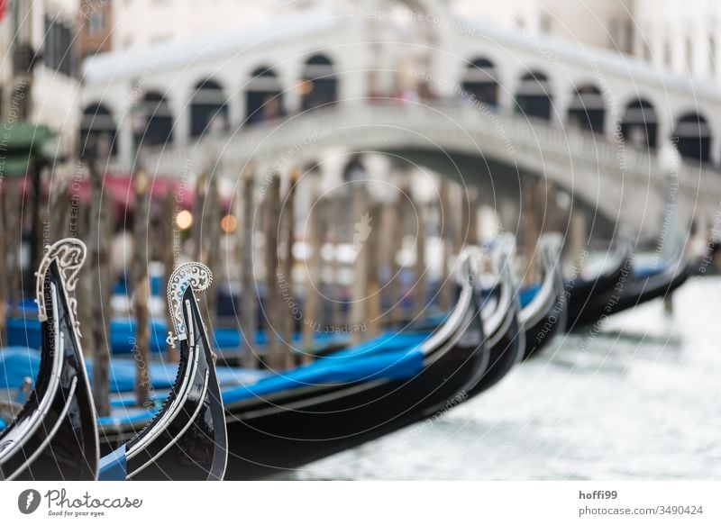 Eine Reihe von Gondeln am Canale Grande mit Rialto Brücke im Hintergrund Gondoliere Gondolieri Venedig Italien Gondel (Boot) Canal Grande Kanal Altstadt Hut