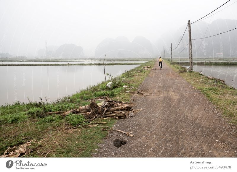 Radfahrerin im Nebel in Ninh Binh, Vietnam Nin Binh Asien Radfahren Weg Pfad Kultur Ferien & Urlaub & Reisen asiatisch Reisfelder feucht nass Wasser Holz Strom