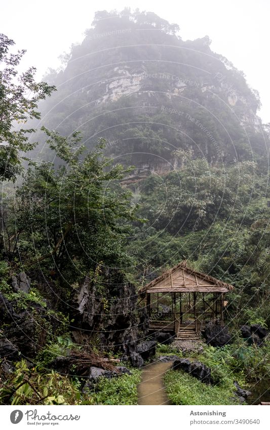 Hütte im Dschungel bei Ninh Binh, Vietnam Bich Dong Pagoda Pagode Blätter Laub Baum Dach hinten Urwald Asien Nin Binh Pfad Weg Nebel feucht Hügel