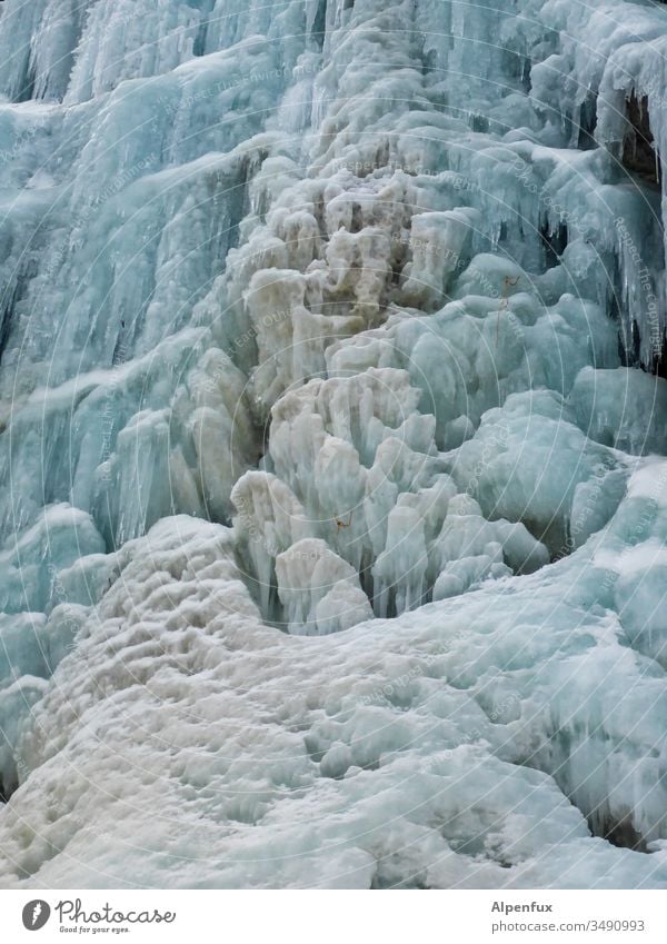 Blumenkohleis Eis Wasserfall kalt Winter Natur Farbfoto Schnee gefroren Außenaufnahme Frost weiß frieren blau gefrorenes Wasser Menschenleer Tag Eiszapfen