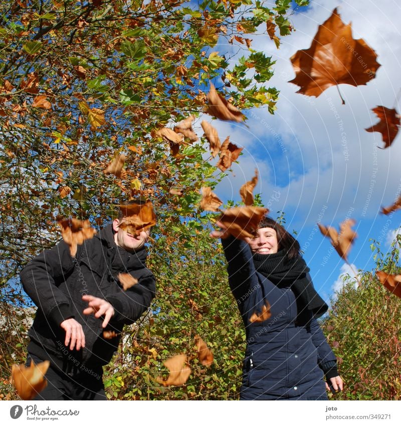 herbstlich Geschwister Freundschaft Paar Partner 2 Mensch Natur Herbst Schönes Wetter Blatt Lächeln lachen Fröhlichkeit Freude Glück Lebensfreude Begeisterung