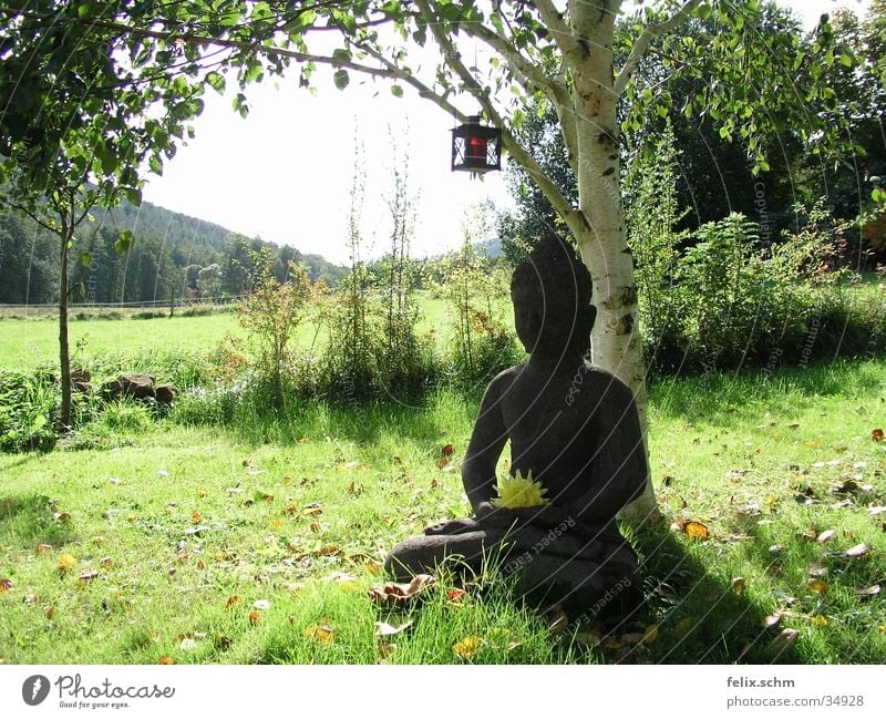 Buddha Garden Erholung ruhig Sonne Garten Skulptur Natur Baum Gras Sträucher Park Wiese Stein grün friedlich Weisheit Frieden Idylle Birke Statue Esoterik