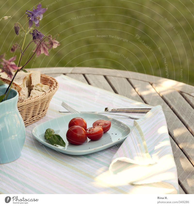 MagerKost II Brot Tomate Vegetarische Ernährung Teller Messer Gabel Garten Frühling Sommer Schönes Wetter Wind Akelei Wiese Vase hell Lebensfreude Holztisch