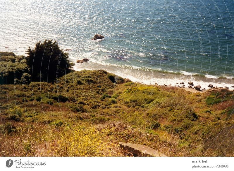North Beach, San Francisco Strand Meer Wellen Brandung Natur Landschaft Wasser