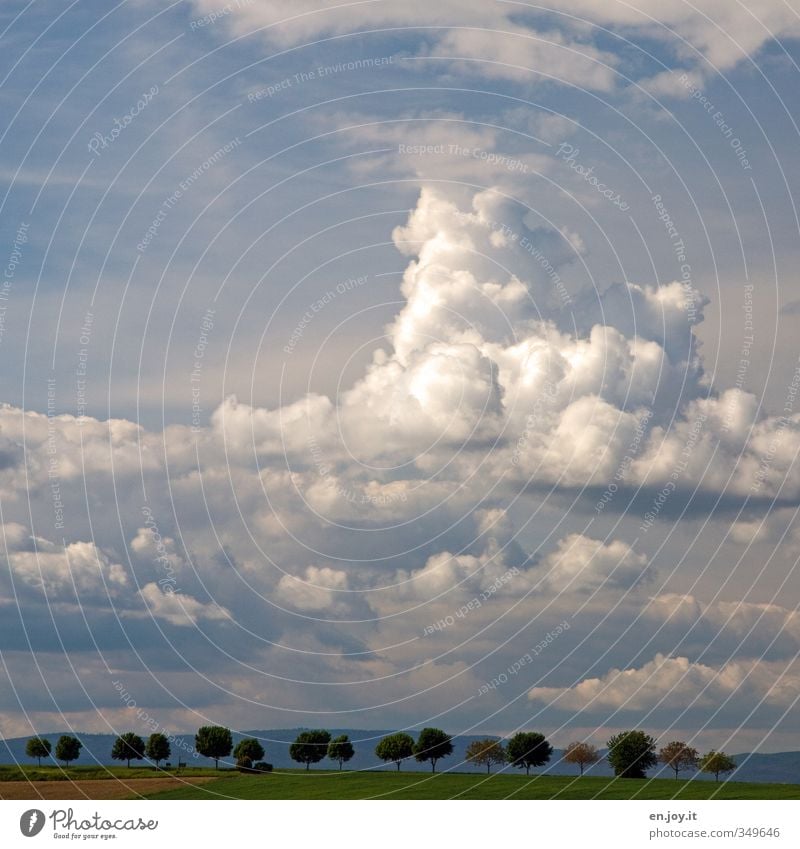 heiter bis wolkig Landwirtschaft Forstwirtschaft Umwelt Natur Landschaft Pflanze Erde Himmel Wolken Gewitterwolken Horizont Sommer Klima Klimawandel Wetter
