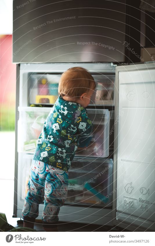 in der Küche gibt es viel zu entdecken erkunden Kleinkind Kind Junge neugierig niedlich Neugier Kühlschrank Gefrierfach Gefrierschrank Frechdachs finden hände