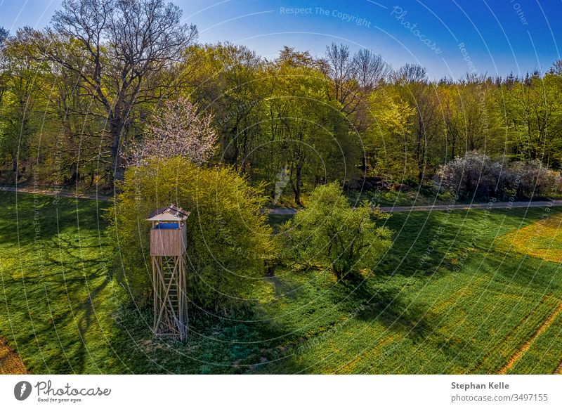 Ein Hochstand im Grünen, Aerial Panorama von einem Feld mit einem Waldstück im Hintergrund Frühling Natur Außenaufnahme Farbfoto Luftaufnahme Menschenleer Baum