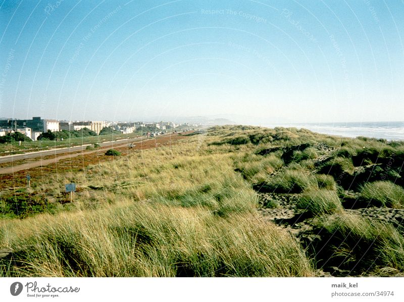 San Francisco Beach Gras grün Meer Landschaft Wind