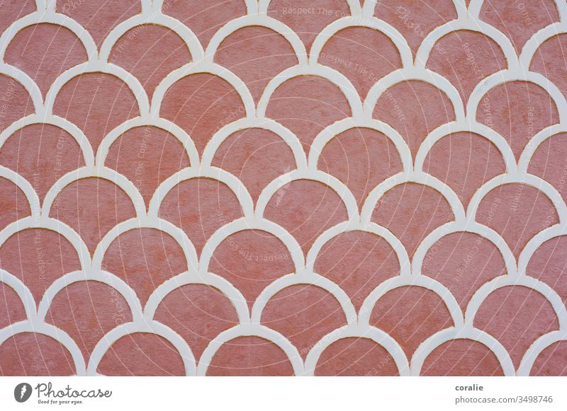 Rosa weißes Meerjungfrauen-Muster an der Wand rosa rosa Hintergrund elegant schön Symmetrie gleichmäßig Strukturen & Formen abstrakt Menschenleer Farbe Design