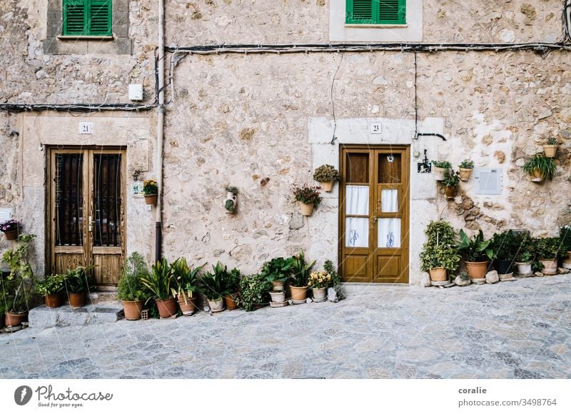 Hauseingang mit Pflanzen auf Mallorca Valldemossa Blumentopf NAchbarschaft nebeneinander nebenan Tür Haustür Gasse Farbfoto Sonnenlicht Spanien Menschenleer