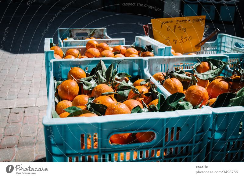 Kisten mit Orangen auf dem Markt orange Orangensaft Frucht Marktplatz Marktstand Farbfoto Lebensmittel Vegetarische Ernährung Bioprodukte frisch Gesundheit