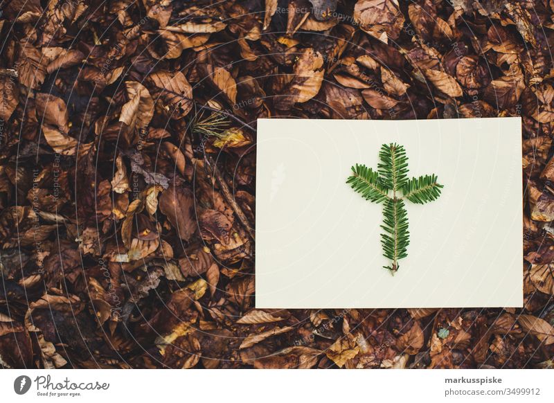 Tannenzweig auf Papier auf Laubboden im Wald Zweig Blatt Weißes Papier grün Laubwald Waldboden Natur braun
