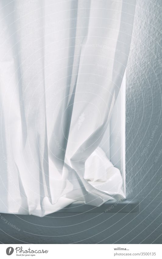 Weißer Vorhang - vorübergehende Schließung mit erster Lockerung Fenster Gardine Häusliches Leben Wohnung Lichtschutz geschlossen zugezogen Fensterbrett Stille