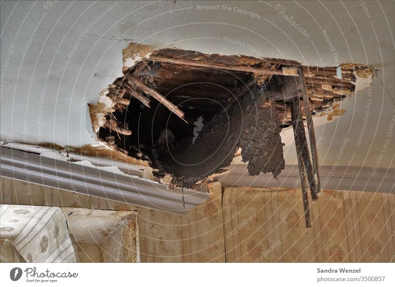 Ein Loch in der Decke.. Altbau lostplace Villa Feuchtigkeit zerfall Zerfallprozess Ruine Sarnierung Armut Wasserschaden Spukhaus Asbest Asbestverseucht