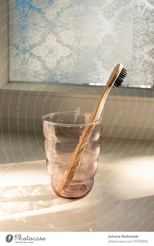 Bambus Zahnbürste in einem Glas umweltfreundlich Sauberkeit Bad Reinigen Zahnpflege Körperpflege Holz Umwelt Gesundheit Farbfoto Morgen Zähne frisch dental Müll