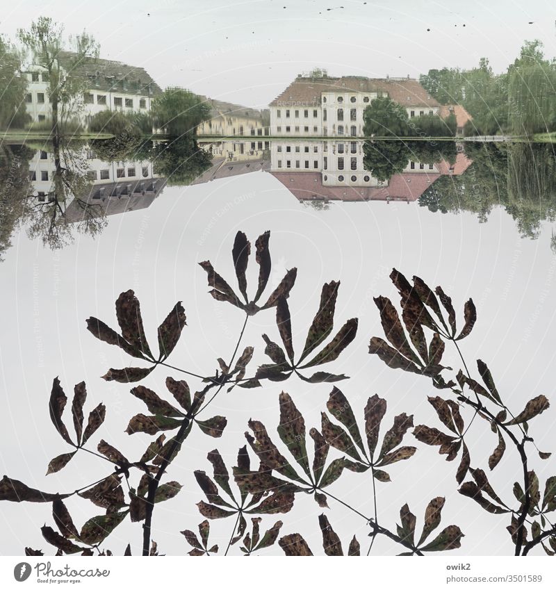 Königswartha 180° See Park Schloss vornehm Himmel bedeckt windstill Reflexion & Spiegelung Wasseroberfläche Spiegelbild 1:1 symmetrisch Symmetrie Blätter Zweige