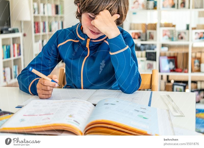 homeschooling | herausforderung anstrengen konzentriert Konzentration Füller Homeschooling Homeoffice Bildung rechnen schreiben lesen zu Hause arbeiten
