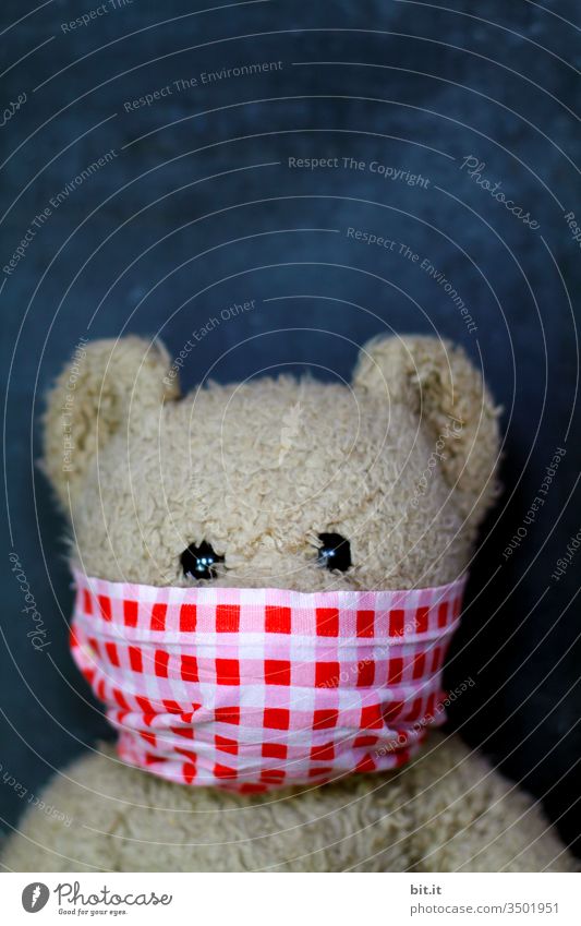 Hände hoch und Geld her... Teddybär Bär Plüsch Kindheit niedlich Spielzeug braun Maske Gesicht Gesichtsmaske Atemmaske Schutz Schutzmaske Virus Pandemie