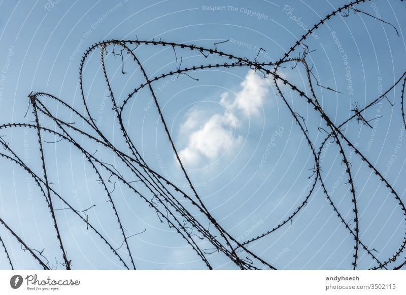 Stacheldrahtzaun in der Mitte einer weißen Wolke Gefängnis Sicherheit Zaun Draht stechend Metall mit Stacheln versehen Borte bügeln Schutz Stahl vereinzelt