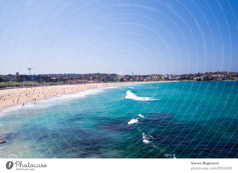 Bondi Beach, Australien Sydney Strand bondi Wasser blau Meer MEER Sommer Wellen Seeküste Küste Sand Sauberkeit Urlaub sonnig Australier Sommerzeit Skyline