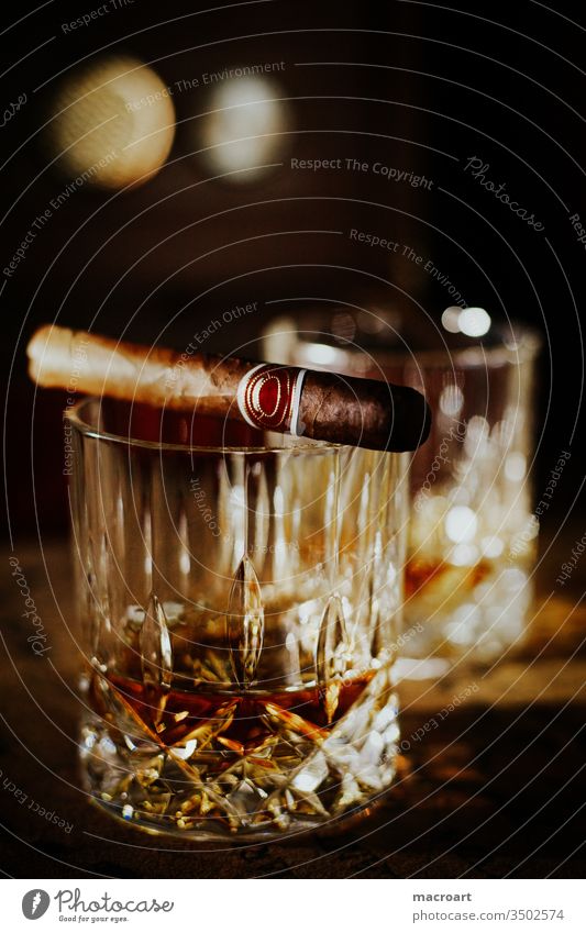 Whiskey wisky Whisky whiskygläser Glas kristallglas kristallgläser Alkohol alkoholisch Scotch Schottisch Single Malt sich[Akk] beugen Abendstimmung genuss