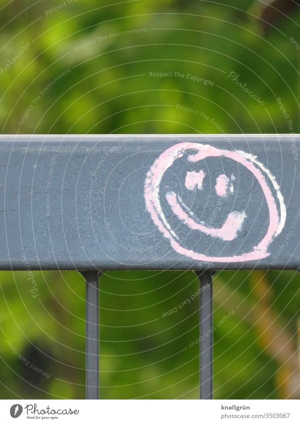 Rosa Smiley auf einem Metallzaun Graffiti Lächeln rosa grau grün Kommunizieren Farbfoto Menschenleer Außenaufnahme Zeichen Tag Textfreiraum oben