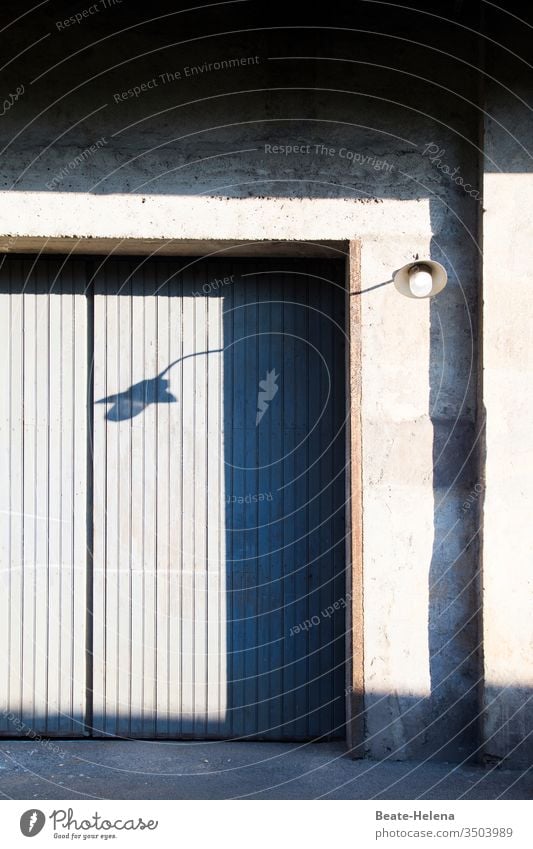 Schattenspiel: Hauswand, Tor und Lampe werfen Schatten und verändern ihre Form Licht Lichterscheinung Menschenleer Kontrast Außenaufnahme Silhouette