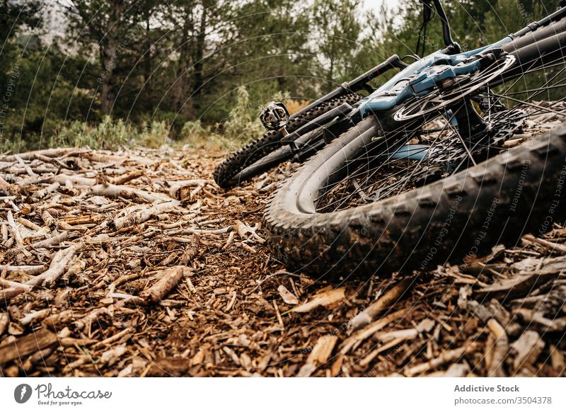 Fahrrad auf trockenem Holz im Wald Boden Reifen dreckig trocknen Chip reisen Landschaft Haufen Natur Grunge Gerät Nutzholz niemand Umwelt rau Ausflug Reise