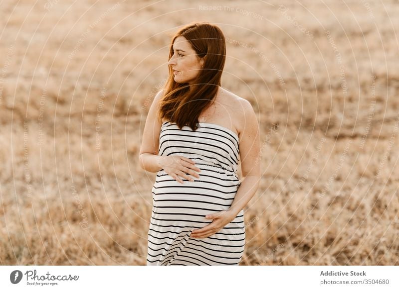 Schwangere Frau auf trockenem Feld schwanger Bauch berühren Landschaft Gras trocknen sich[Akk] entspannen mütterlich Kleid erwarten Wiese ruhen Natur Windstille