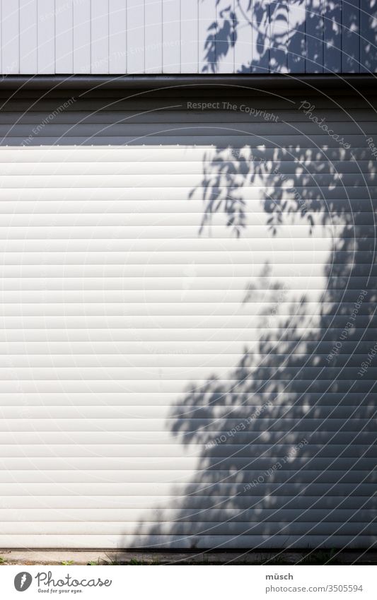 Baumschatten auf Garagentor Licht Schatten Tor grau weiß Blätter Linien Hindernis Schutz Auto Sommer Kühle Neugier