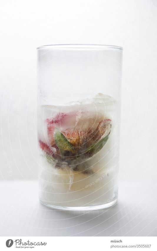 Eisrose im Glas Rose weiß rot grün frostig Eiskönigin Wasser Blatt Symbol Leidenschaft gekühlt Zeit Aggregatzustand Schmelz auftauen Erstarrung Angst Depression