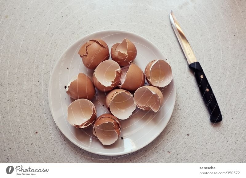 Eier zum Frühstück Lebensmittel Ernährung Essen Diät Teller Besteck Messer Küche Fitness Sport-Training Gesundheit kaputt Eierschale Eiergerichte Eierproduktion