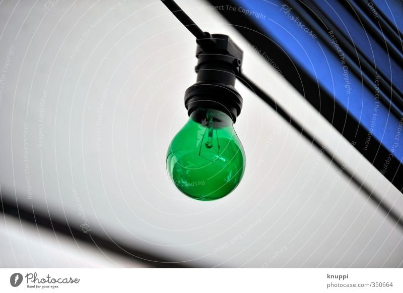 total blau - jetzt seh ich schon grüne Glühbirnen Kabel Technik & Technologie Fortschritt Zukunft Energiewirtschaft Erneuerbare Energie rund grau schwarz weiß