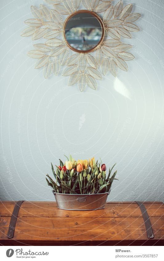 tulpen in massen Wohnzimmerlampe Tulpenfeld vases spiegel decorative Blumentopf strauß Blumenstrauß Bundesland Tirol Frühling