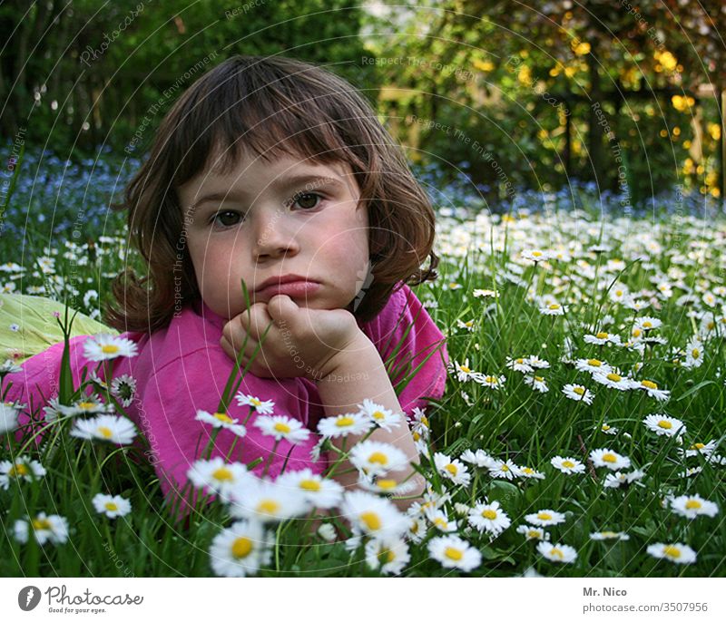 Schnute Ute liegen Kind Mädchen Wiese Garten nachdenken schmollen verträumt Gedanke aufstützen Gesichtsausdruck ausgeruht Blick Blumenwiese Gänseblümchen