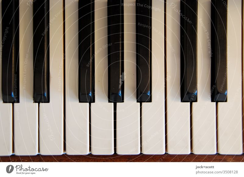 Dreiklang / Taste für Taste, Ton für Ton Klaviatur Strukturen & Formen Klavier Gedeckte Farben Mechanismus Detailaufnahme Oberfläche Ordnung Tasten