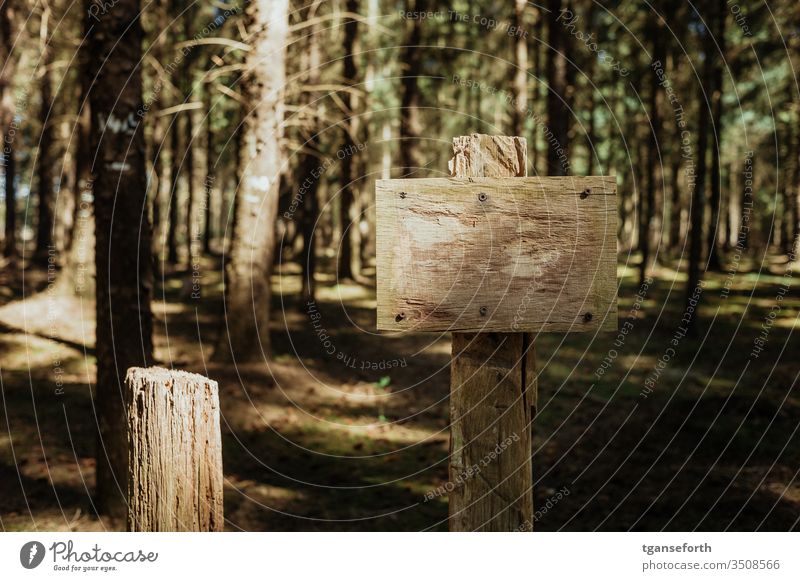 Schild im Wald Schilder & Markierungen leer Menschenleer Farbfoto Außenaufnahme Hinweisschild Zeichen Holz Nahaufnahme Umwelt hinweisen hinweisgeber