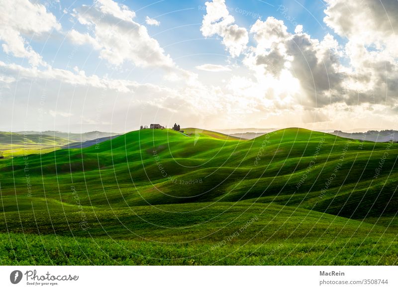 Seichte Hügellandschaft in der Toscana hügel hügellandschaft hanglage landwirtschaft sonnenaufgang toscana himmel blau wolkenbildung aussenaufnahme grün niemand