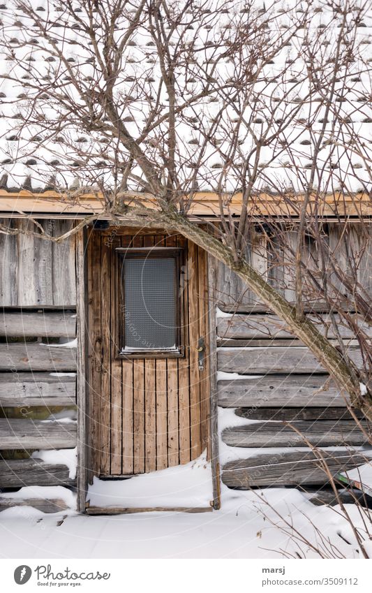Versteckte Hütte mit verschlossener Tür Idylle Einsamkeit einfach Klischee Schnee verdeckt idyllisch Stille Alleinsein zurückgezogen Winter Landschaft kalt